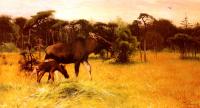 Friedrich Wilhelm Kuhnert - Moose With Her Calf In A Landscape